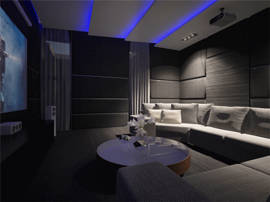 Entertainment Room